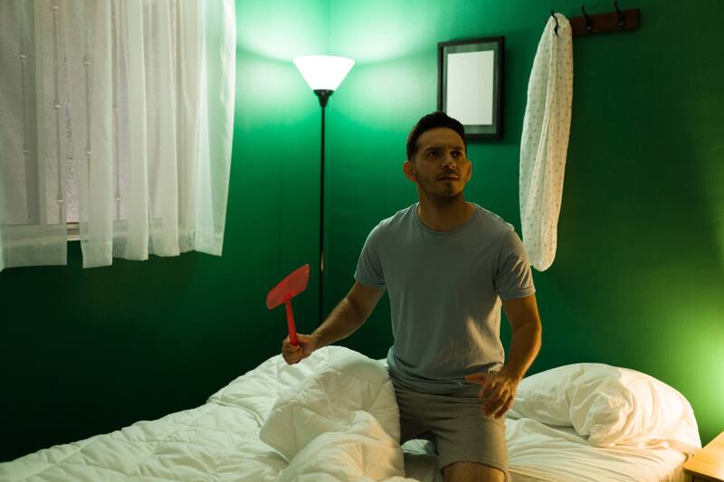 Descubre cuáles son las recomendaciones para ahuyentar a estos insectos.