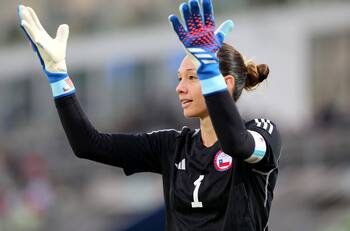 Columna de Juan Cristóbal Guarello | Yo lo arreglo papito