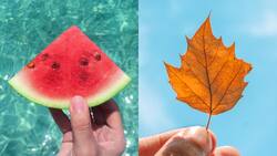 Cambio de estación: ¿Cuándo termina el verano y comienza el otoño en Chile?