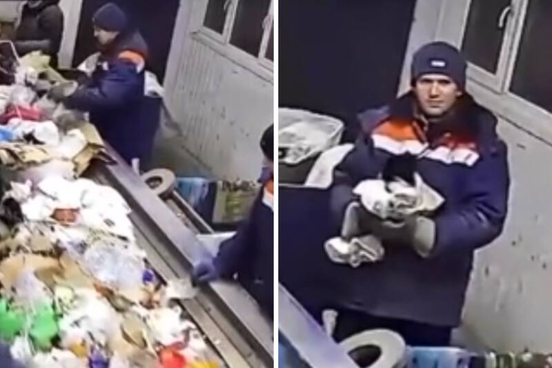 El hombre encontró un gatito en la basura y se convirtió en un héroe.