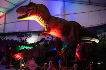 Los panoramas imperdibles para hacer en Viña del Mar antes de que llegue marzo