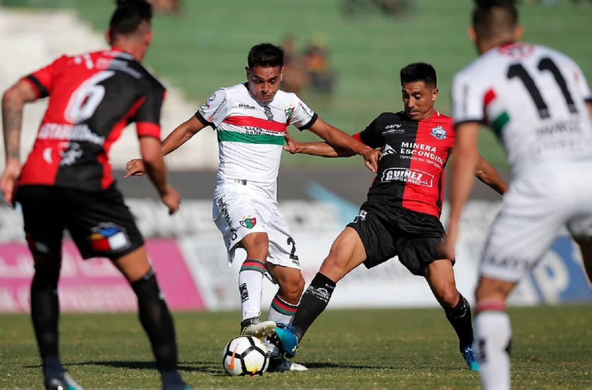 Palestino vs Antofagasta: Día, hora y dónde ver en vivo y gratis por TV y Online