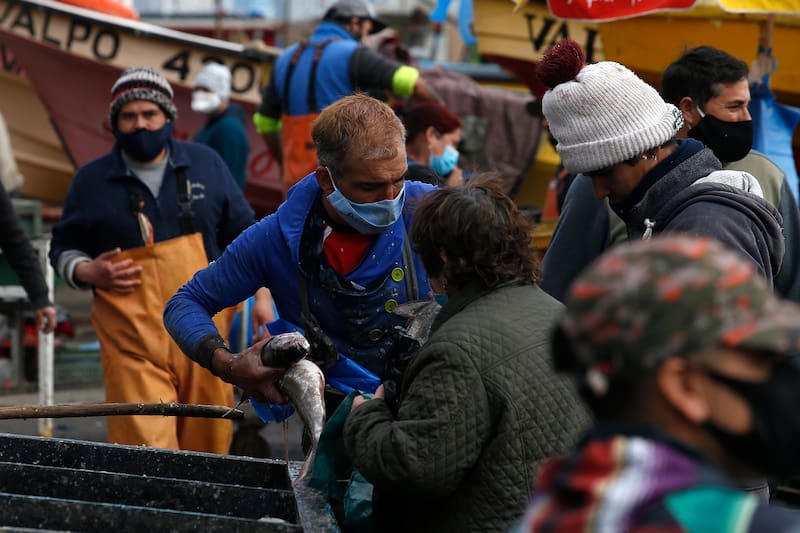 Funcionamiento de Caleta Portales durante cuarentena en Valparaiso 25/07/2020