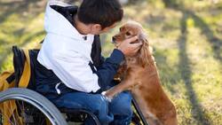 Subsidio de Discapacidad: ¿Cuáles son los requisitos para acceder?