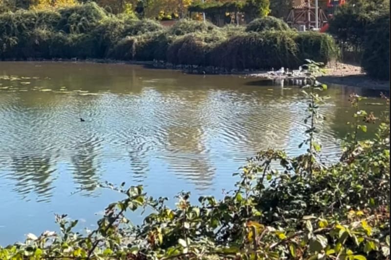 Este lugar es ideal para ir junto a los más pequeños de la casa.
Créditos: IG @explorandoconfranklin.