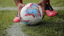 Pichanga provoca brote de Covid en empresa frutícola: 50 contagiados