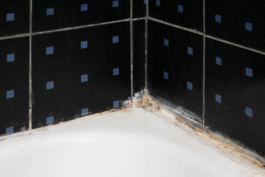 Así puede eliminar el moho de las juntas de silicona de la bañera.