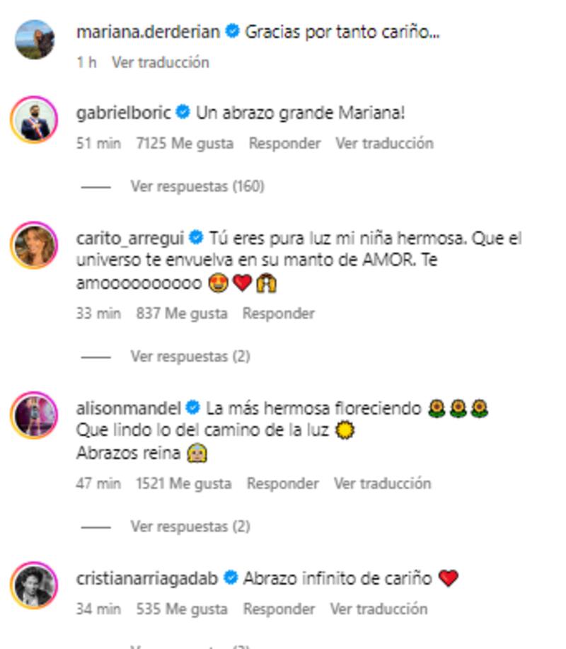 Hasta Gabriel Boric le mandó abrazos a Mariana Derderián en su aparición en Instagram.