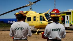 CONAF busca trabajadores en esta región de Chile: sueldos parten en $935.000