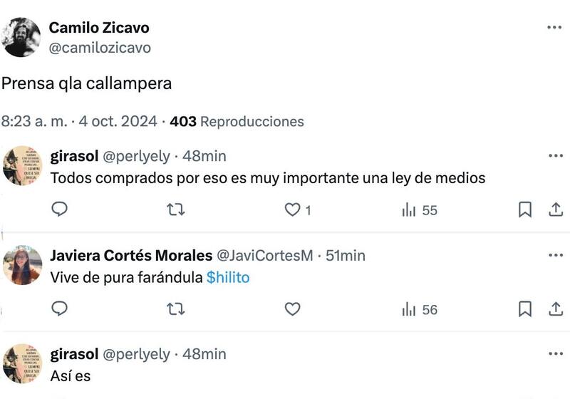 Comentario de Camilo Zicavo. Créditos: X