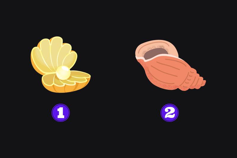 ¿Cuál de las dos conchas te gusta más?