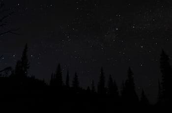 ¿Te gusta el color negro? Esto dice de tu personalidad, según la IA