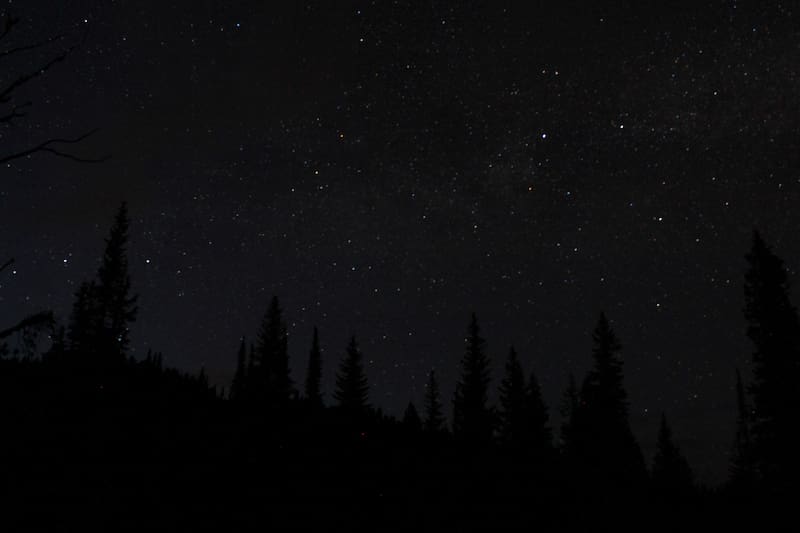 Conoce lo que la IA dice si este es tu color favorito.