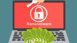 Canal 13 denunció ataque de Ransomware que robó datos en su página web