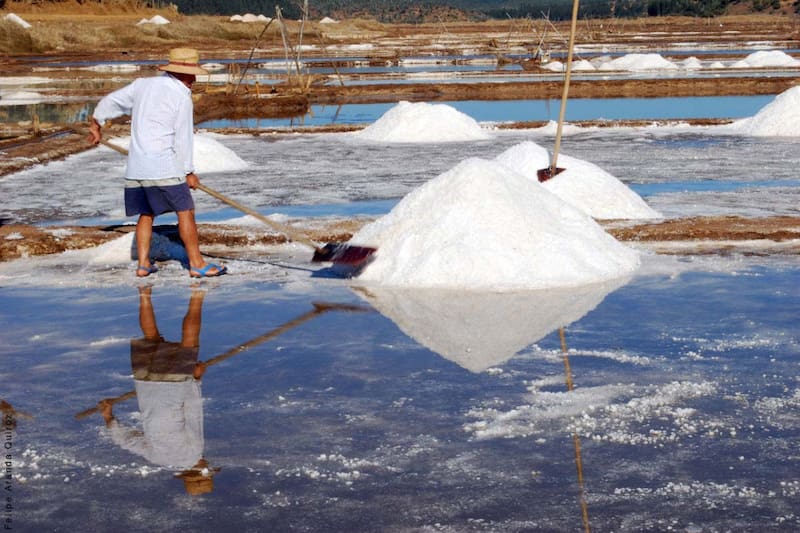 Uno de los panoramas imperdibles de la zona es visitar los puntos de extracción artesanal de sal, producto estrella de la zona. Créditos: Más Cultura Chile.