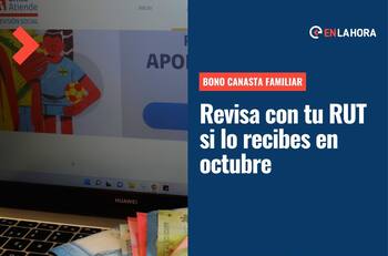 Bono Canasta Básica: Consulta con tu RUT si recibes en octubre este aporte de hasta más de $100 mil