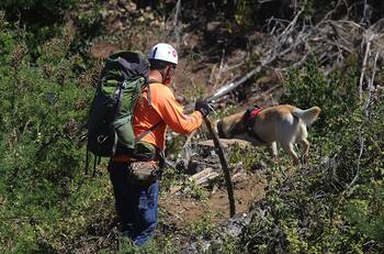 Abanico de hipótesis y participación de mucha gente dificultan la búsqueda de Tomás Bravo