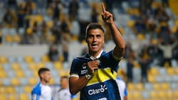 El fatal negocio que podría cerrar Everton con la llegada de Álvaro Madrid a Colo Colo