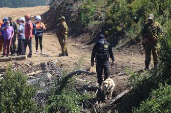 Búsqueda de Tomás Bravo: Teoría del atropello se suma como nueva hipótesis de su desaparición