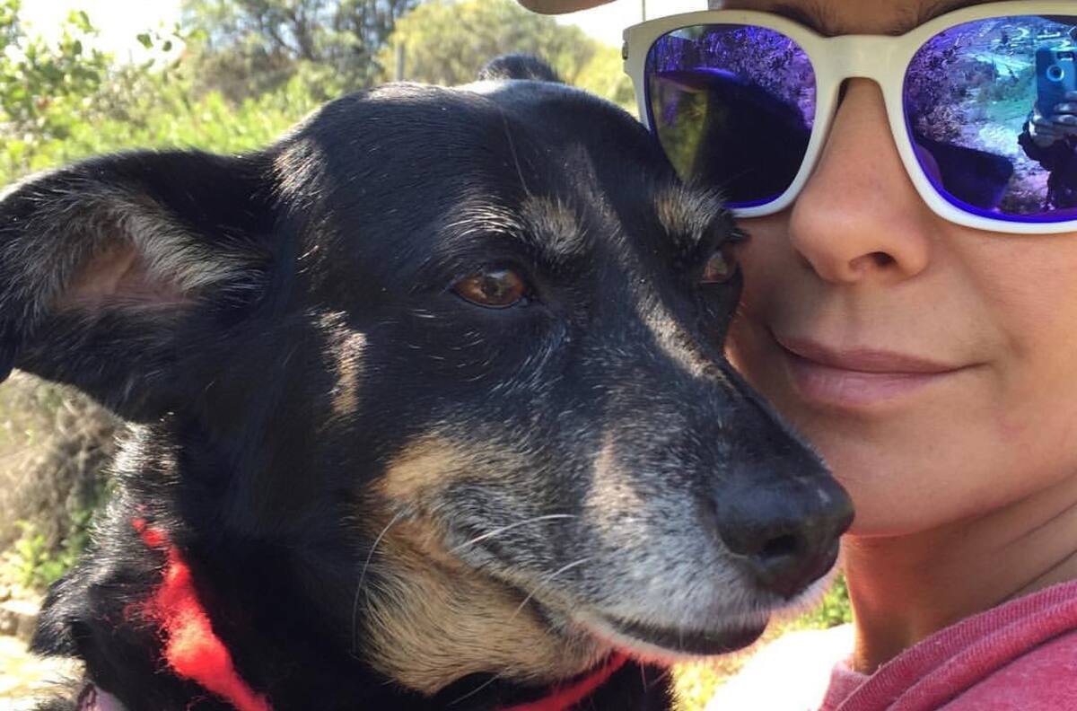"Cambias la vida y te cambia para siempre": Tonka Tomicic dejó emotivo mensaje para sus perritos en la conmemoración de su día
