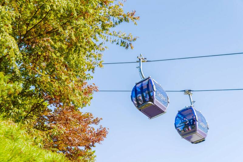 Confirman avances de obra que permitirá reducir viajes hacia importante monumento arqueológico.