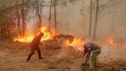 Más de 10 personas han sido detenidas por presunta responsabilidad en incendios forestales