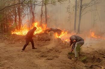 Más de 10 personas han sido detenidas por presunta responsabilidad en incendios forestales