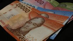 Bono Protección: Ingresa tu RUT para saber si tienes el pago automático a jefas de hogar este 2023