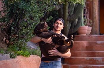 “No para de hablarme”: Pangal Andrade muestra las divertidas conversaciones con su perro, Bagual