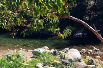 Con piscina y acceso a un estero: Este gran camping natural cerca de Santiago es ideal para visitar en febrero