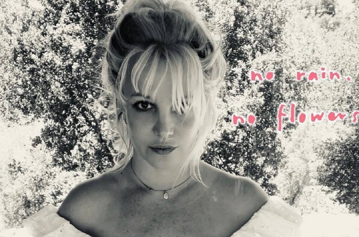 Britney Spears: qué viene ahora en su lucha por liberarse de la tutela de su padre