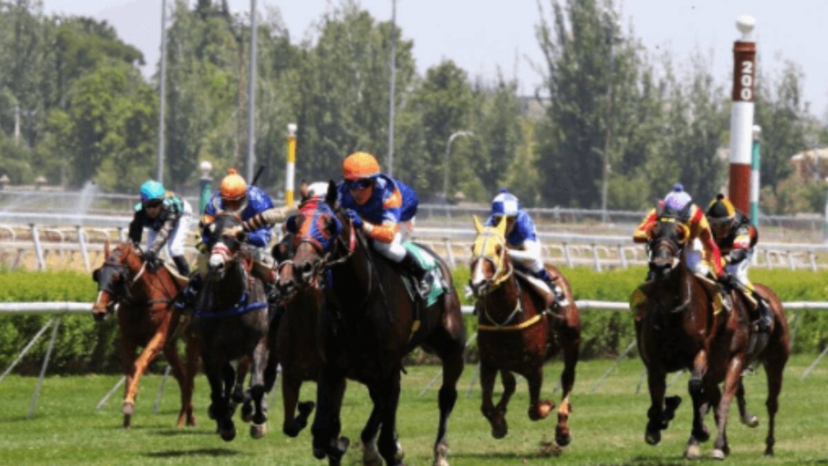 Club Hípico: Programa de carreras y pronósticos del viernes 15 de julio