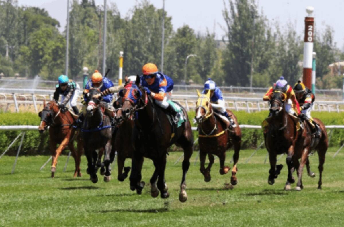 Club Hípico: Programa de carreras y pronósticos del viernes 15 de julio
