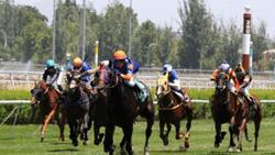 Club Hípico: Programa de carreras y pronósticos del viernes 15 de julio