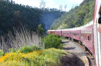 Tren del Recuerdo viajará de Santiago a San Antonio este fin de semana: Pasajes parten en los $29.900