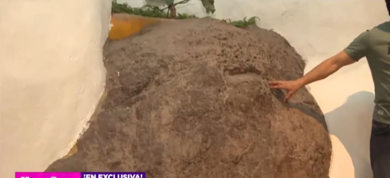 Pangal Andrade integró una piedra como decorado de su casa.