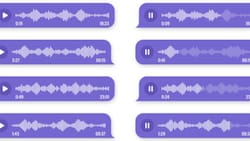 Conoce la aplicación que te ayudará a transcribir audios de WhatsApp y Telegram