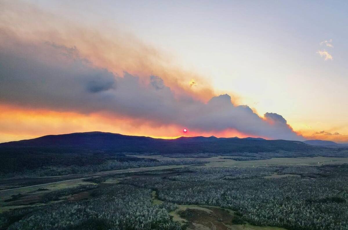 VIDEO | Gran incendio forestal en Tierra del Fuego: El humo llega hasta la Antártica