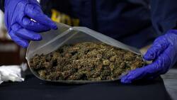 Detienen a hombre que transportaba más de $300 millones en drogas en bolsos matuteros en Coquimbo