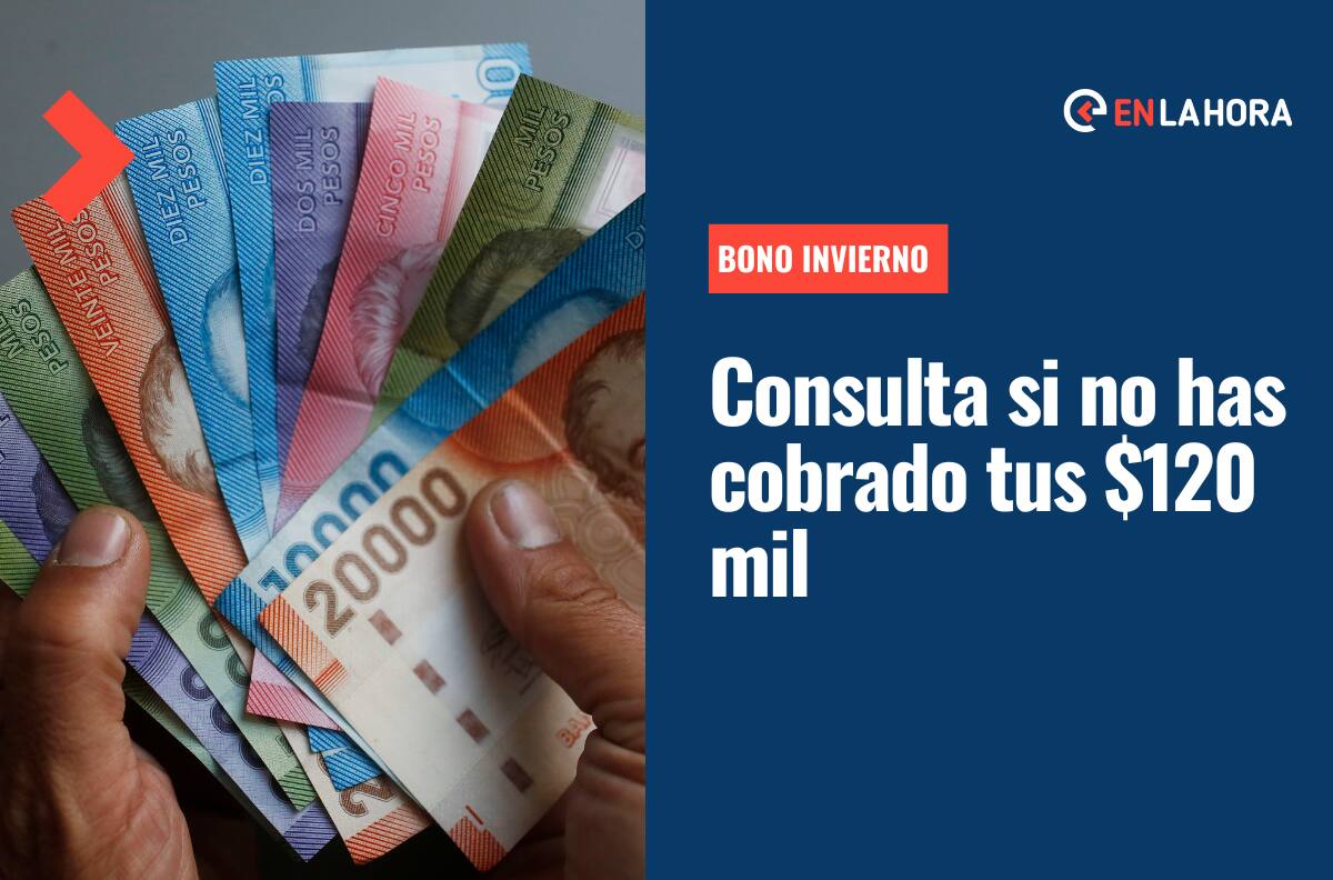 Bono Invierno: Revisa solo con tu RUT si tienes pagos pendientes del aporte que entregó $120 mil