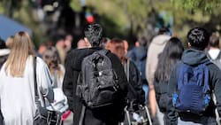 Extranjeros que estudien en Chile podrán recibir $1 millón: deben cumplir con este requisito