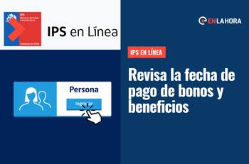 IPS en Línea: Consulta con tu RUT por los pagos de la asignación familiar, PGU y otros bonos del Estado