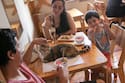 Estas son las 5 mejores cafeterías temáticas que puedes visitar dentro de la Región Metropolitana