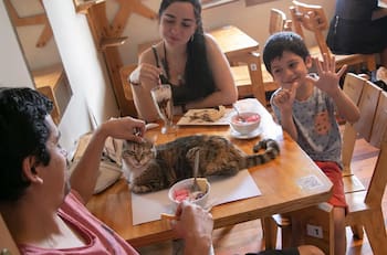 Estas son las 5 mejores cafeterías temáticas que puedes visitar dentro de la Región Metropolitana