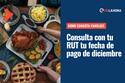 Bono Canasta Familiar: Consulta con tu RUT qué día recibes el pago de diciembre y cuál es el monto