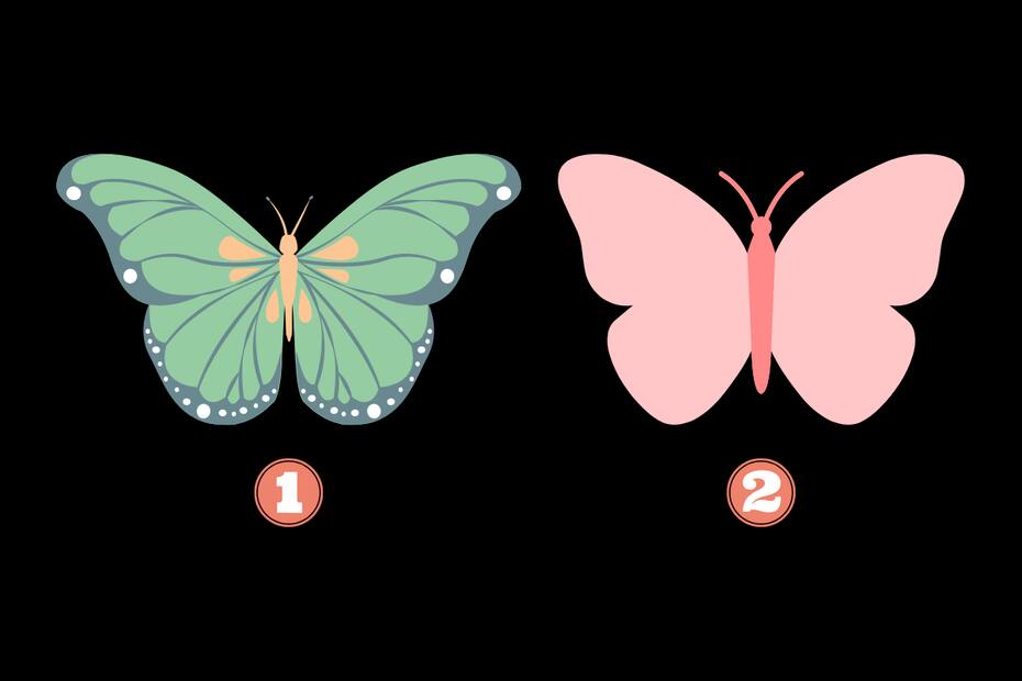 ¿Qué mariposa te atrae más?