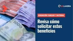 Asignación Familiar y Maternal: ¿Cómo se solicitan estos beneficios y cuáles son sus montos?
