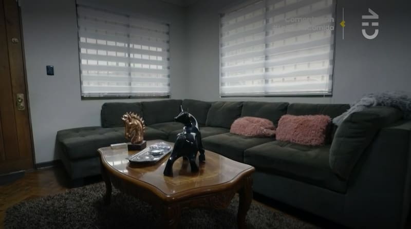 El living de René de la Vega. Créditos: Pantallazo CHV