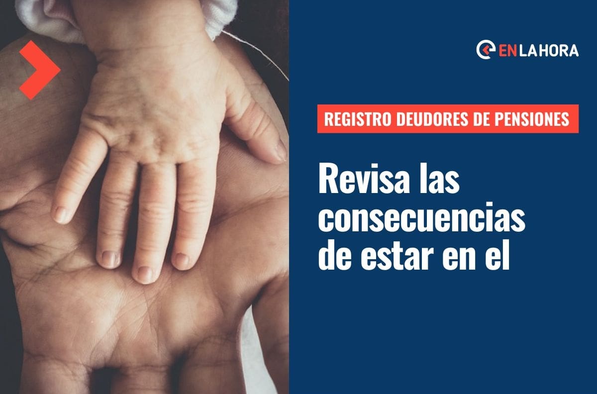 Registro Nacional de Deudores de Pensiones de Alimentos: ¿Qué consecuencias traerá estar en el?