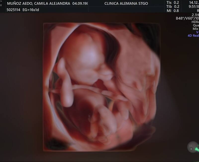 A través de sus redes sociales, el periodista mostró un emotivo registro de su futura hija.